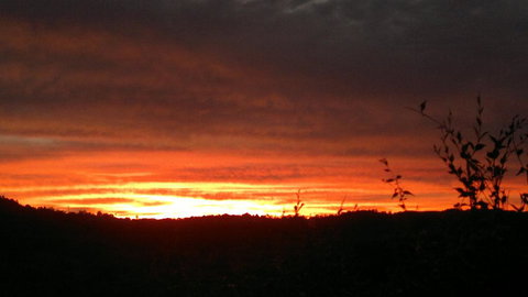 Highwood Park B&B Guest Lodge - Adwords Guide 2