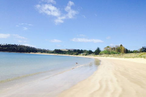 Hobart Beach Front Cottage - Adwords Guide 0