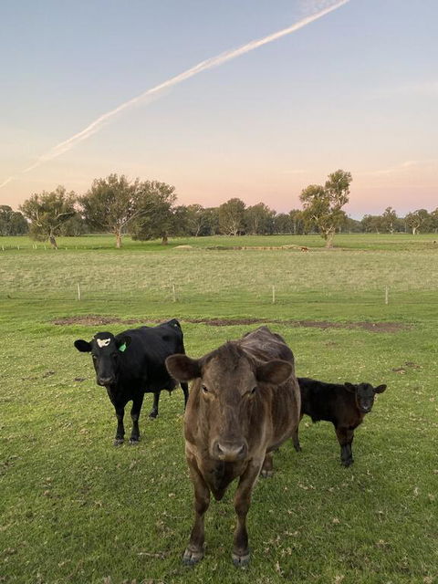 Holly House BnB - Adwords Guide 1