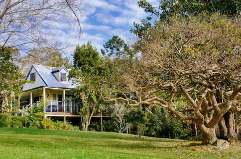 Jacaranda Cottages - Adwords Guide 0