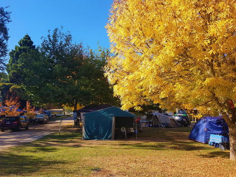 Jamieson Caravan Park - Adwords Guide 2