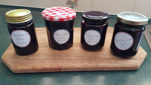 Jensens Bed And Breakfast - Adwords Guide 2