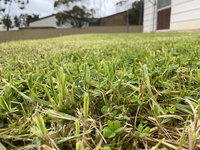 Karoonda Accommodation