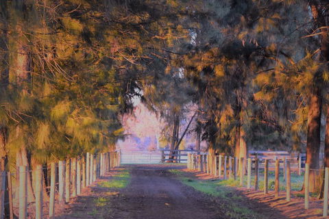 King River Cottage - Adwords Guide 3