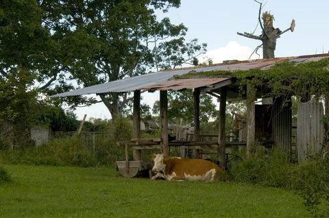 Lagoon Pocket Bed & Breakfast - Adwords Guide 3