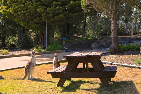 Leura Lodge At Mt Victoria - Adwords Guide 2