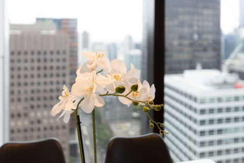 Luxury 2bed2bath Apt In The Heart Of Mel@Collins - Adwords Guide 2