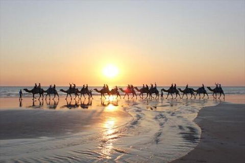 Luxury Executive Apartment At Broome Cable Beach - Adwords Guide 1