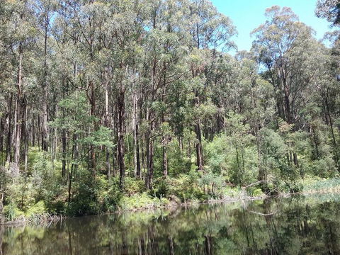 Lyrebird Gully Retreat - Adwords Guide 2