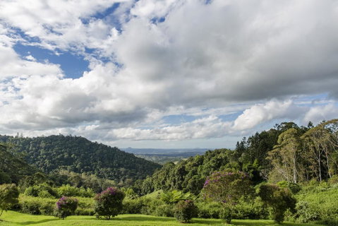 Maleny Manor - Adwords Guide 1