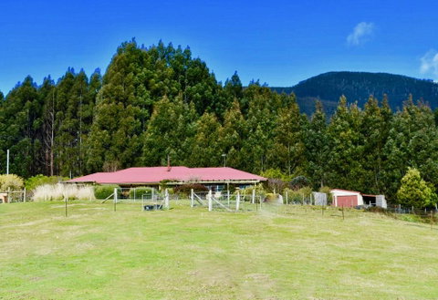 Maydena Mountain Cabins - Adwords Guide 2
