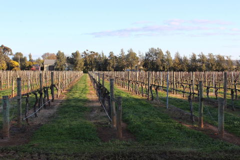 Milawa Vineyard Views - Guesthouse 1 - Adwords Guide 1