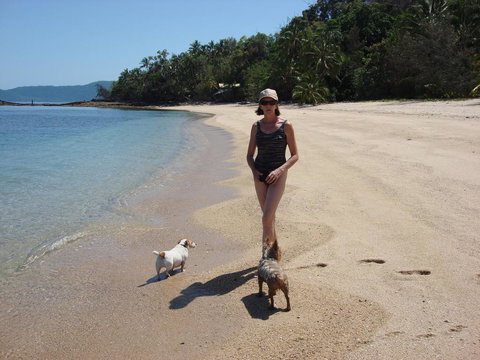 Mission Beach Shores - Adwords Guide 3