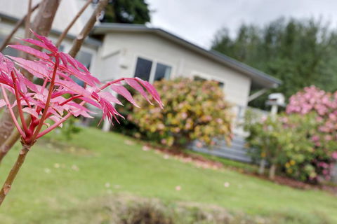 Montpellier Petite B+B - Adwords Guide 1