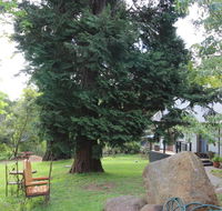 Olinda Country Cottages - Adwords Guide