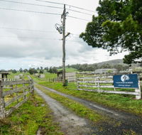 Pakenham Ranges - Adwords Guide