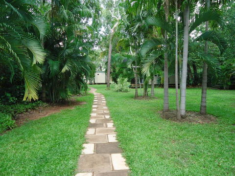 Pandanus On Litchfield - Adwords Guide 0