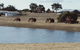 Redtail Ridge Cottages - thumb 2