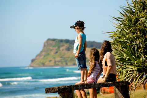 Reflections Holiday Parks Lennox Head - Adwords Guide 2