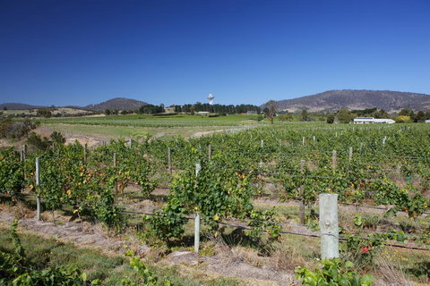 Riversdale Estate Cottages - Adwords Guide 1