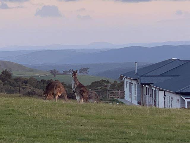 Rooks Edge Gisborne