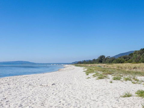 Rosebud Beach Babe - Adwords Guide 0