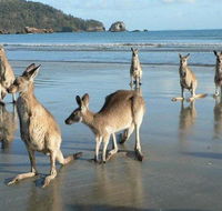 Seaforth Holiday Units - Adwords Guide