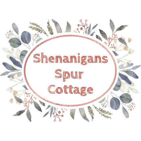 Shenanigans Spur Cottage - Adwords Guide 3