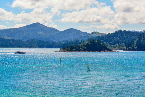 Shorelines 2 - Adwords Guide 3