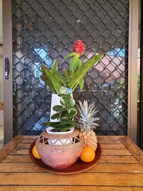 The Balinese - Adwords Guide 2