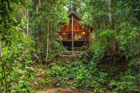 The Canopy Rainforest Treehouses & Wildlife Sanctuary - Adwords Guide 2