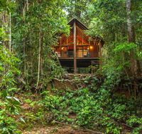 The Canopy Rainforest Treehouses Wildlife Sanctuary - Adwords Guide