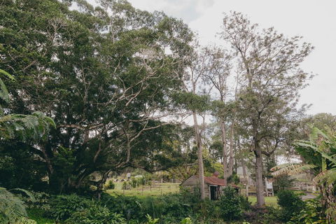 The Eumundi Dairy - Adwords Guide 1