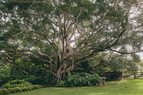 The Eumundi Dairy - Adwords Guide 2