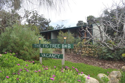 The Fig Tree B&B - Adwords Guide 0