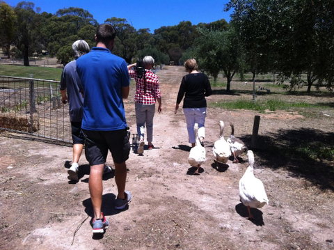 The Farm Willunga - Adwords Guide 1