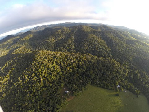 The Jungle Stays - Adwords Guide 1