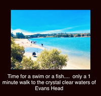 The Lazy Llama - Adwords Guide