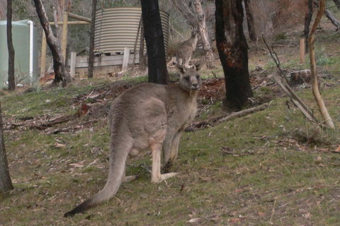 The Ledge Holiday House - Adwords Guide 2