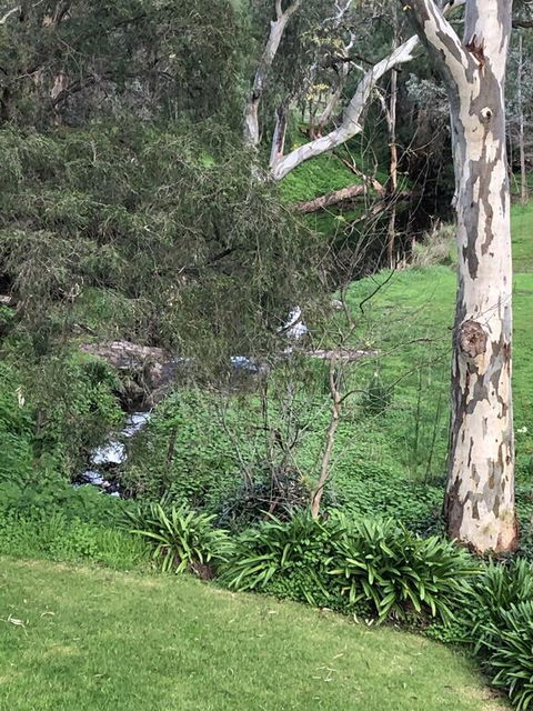 The Miners Cottage, Barossa - Adwords Guide 0
