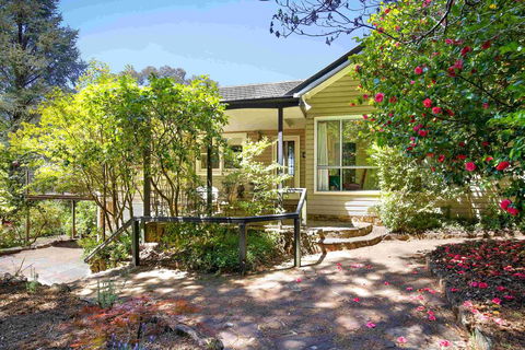 The Nineteenth - Adwords Guide 0