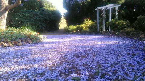 The Old Church Bed And Breakfast - Adwords Guide 2