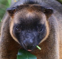 The Pond Cottage - Adwords Guide