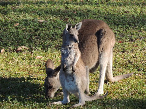 The Pouch B & B - Adwords Guide 2