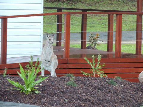 The Pouch B & B - Adwords Guide 1