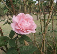 The Table Guest House - Adwords Guide