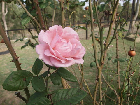 The Table Guest House - Adwords Guide 0