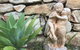 Theme Parks Amituofo Guest House - thumb 2