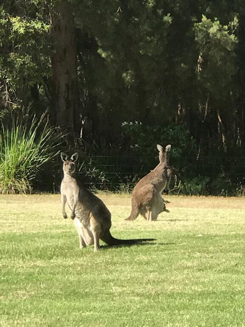 Tinglewood Cabins - Adwords Guide 2