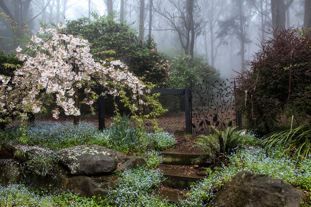 Blue Mountains NSW Adwords Guide